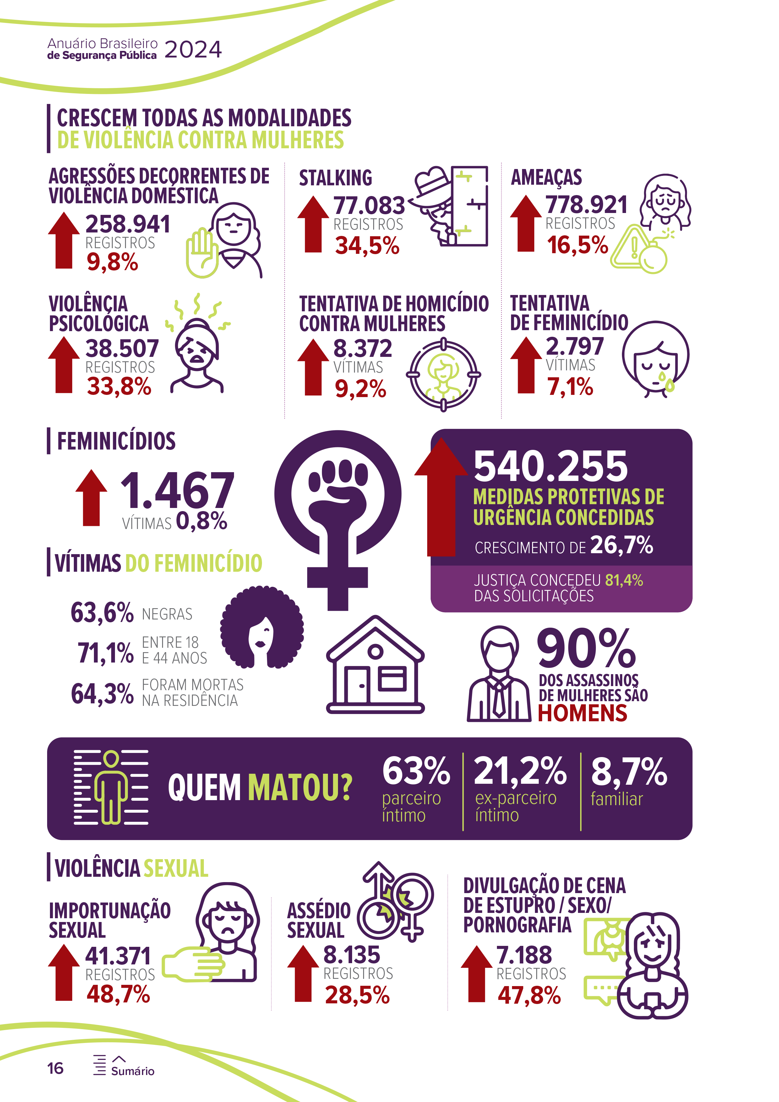 Anuario-Brasileiro-de-Seguranca-Publica-2024-16.png